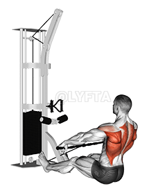 Cable Floor Seated Wide-grip Row demonstration
