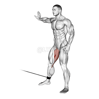 Hip Adduction demonstration