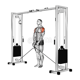 Lateral Raise demonstration