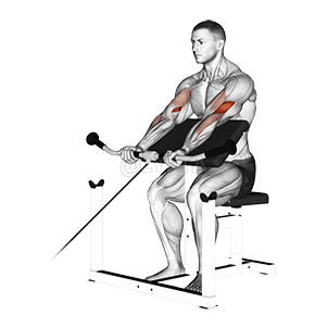 Preacher Curl demonstration