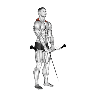 Shrug demonstration