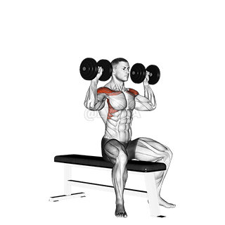 Bench Seated Press demonstration