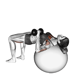 Dumbbell One Arm Press demonstration
