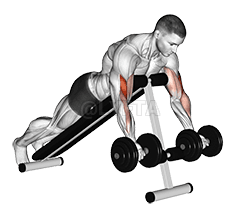 Dumbbell Prone Incline Curl demonstration