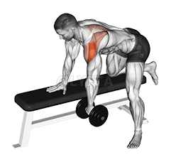 Dumbbell Rear Delt Row_shoulder demonstration