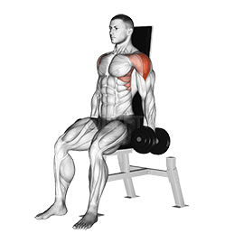 Seated Lateral Raise demonstration