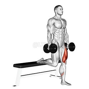 Dumbbell Single Leg Split Squat demonstration