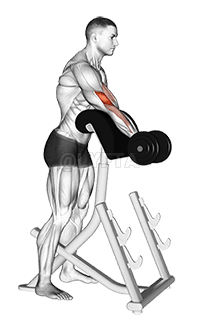 Dumbbell Standing Preacher Curl demonstration
