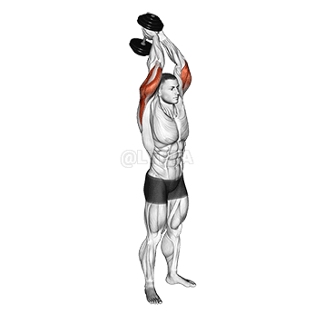 Dumbbell Standing Triceps Extension demonstration
