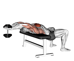 Dumbbell Straight Arm Pullover demonstration