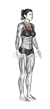 Elbows Back Stretch demonstration