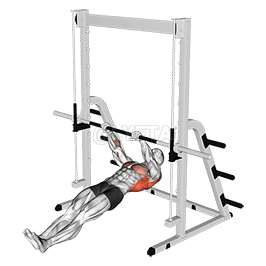 Inverted Row demonstration