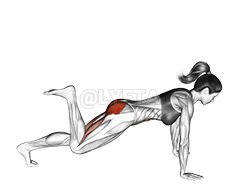 Kicks Leg Bent demonstration
