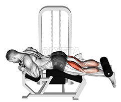 Lever Lying Leg Curl demonstration