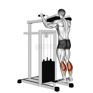Lever Standing Calf Raise demonstration