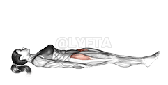 Lying Hip Leg Raise demonstration