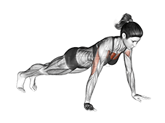 Push-up demonstration