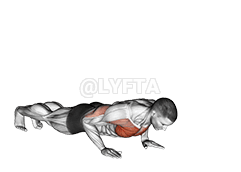 Raise Single Arm Push-up demonstration