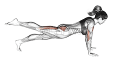 Raise Single Leg Push-up demonstration