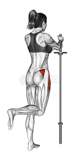 Standing Hip Abduction demonstration