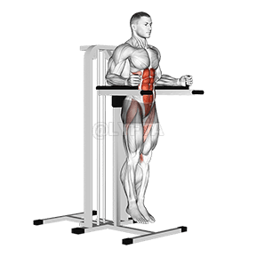 Vertical Leg Raise demonstration