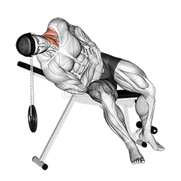 Lying Side Lifting Head demonstration