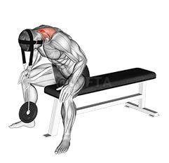 Weighted Seated Neck Extension demonstration