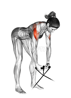 Band bent-over rear lateral raise demonstration