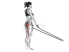 Band Single stiff leg deadlift demonstration
