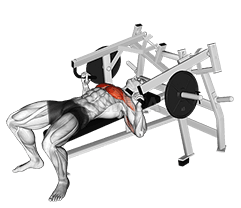 Lever Lying Chest Press demonstration