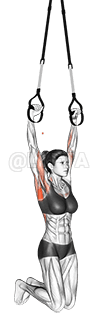 Suspension Pull-up demonstration