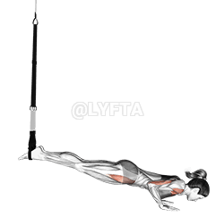 Suspension Mountain Climber Push-up demonstration