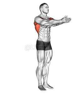 Dynamic Chest Stretch demonstration