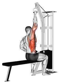 Cable one arm lat pulldown demonstration