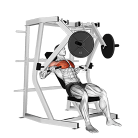Lever Decline Chest Press demonstration
