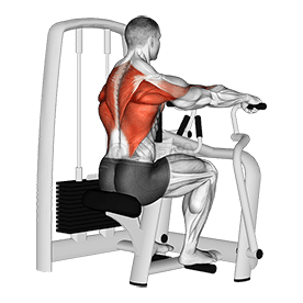 Lever Seated Row demonstration