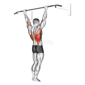 Wide Grip Rear Pull-Up demonstration