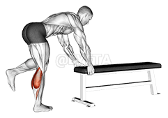 One Leg Donkey Calf Raise demonstration