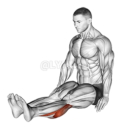 Seated Calf Stretch demonstration