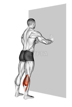 Standing Gastrocnemius demonstration