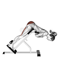 45 degree hyperextension demonstration