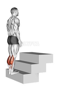 Standing Calf Raise demonstration