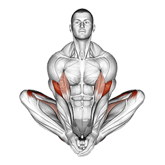 Butterfly Yoga Pose demonstration