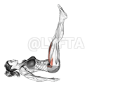Alternate Leg Raise demonstration