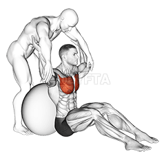 Assisted Seated Pectoralis Major Stretch With Stability Ball demonstration