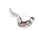 Leg Raise Hip Lift with Head up demonstration