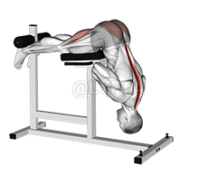Hyperextension demonstration