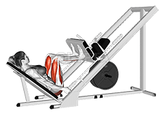 Sled 45 degrees Leg Press demonstration