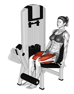 Lever Leg Extension demonstration