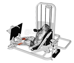 Lever Seated Calf Press demonstration